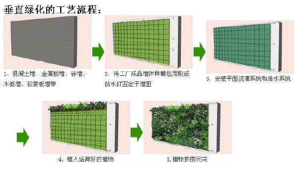 淺談我國城市立體綠化形式